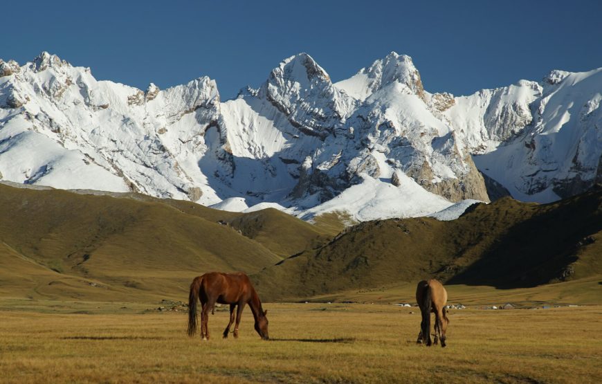 Dviejų pėrejų žygis žirgais Kirgizijoje, Tian Šanio kalnuose