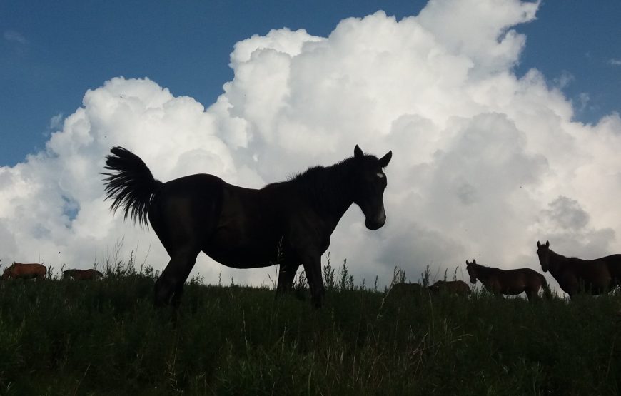 Dviejų pėrejų žygis žirgais Kirgizijoje, Tian Šanio kalnuose