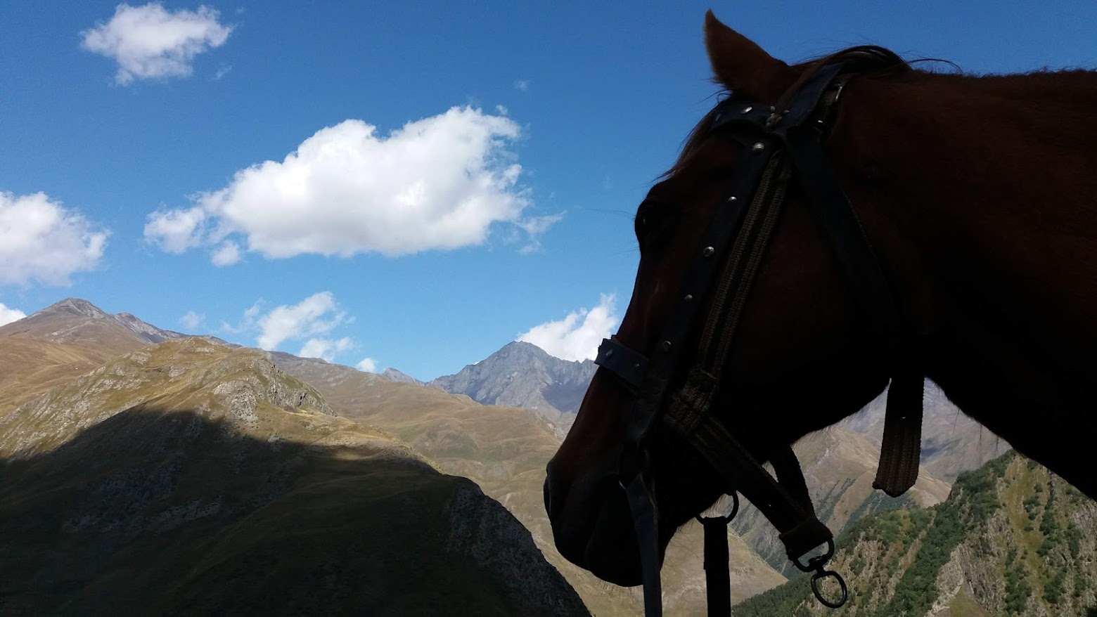 1 diena – Atvykimas į Tbilisį, kelionė visureigiais į Tušetiją