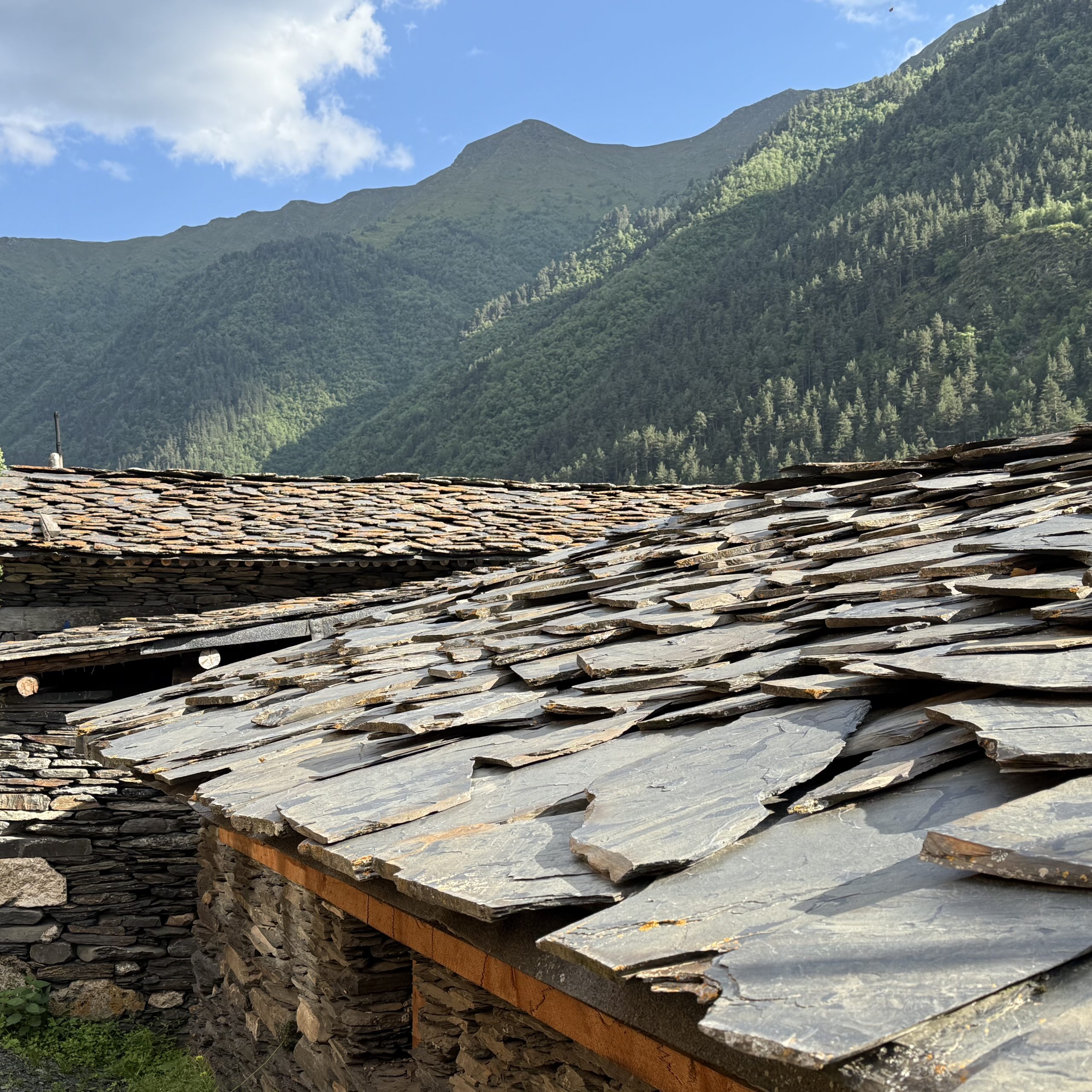 2 diena – Žygis žirgais į Diklo kaimą