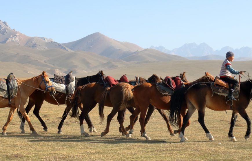 Dviejų pėrejų žygis žirgais Kirgizijoje, Tian Šanio kalnuose