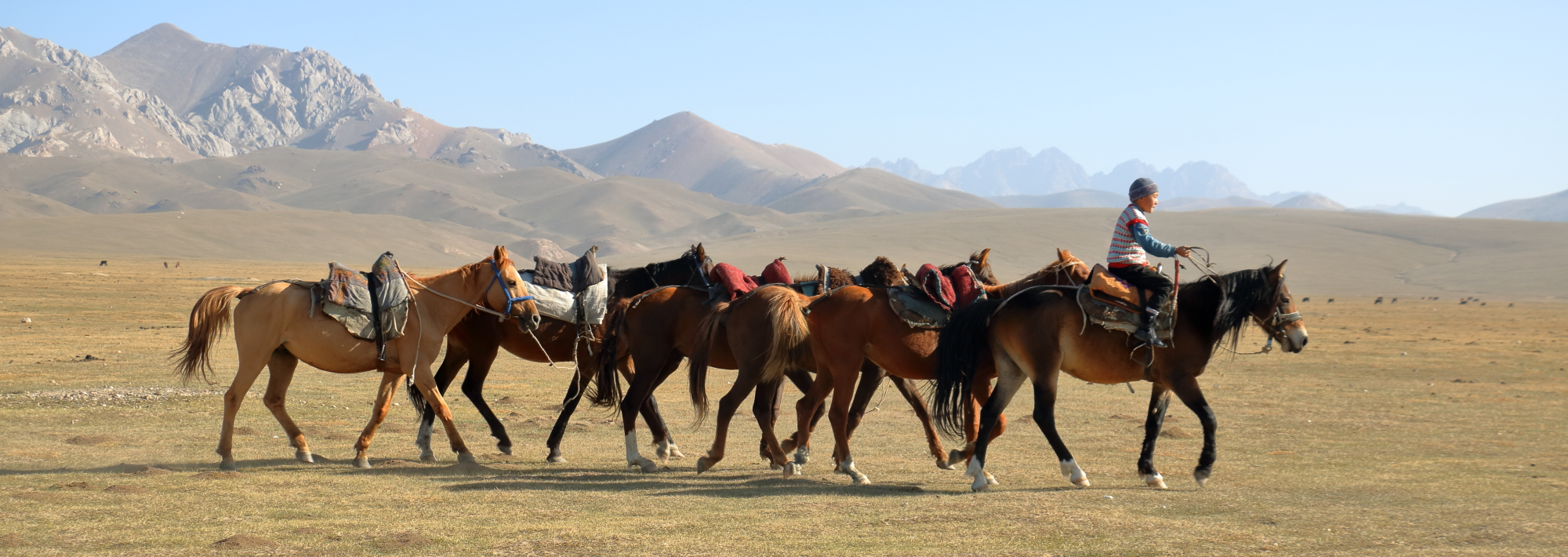 5 diena – Tosor Ašu perėja (3893 m)