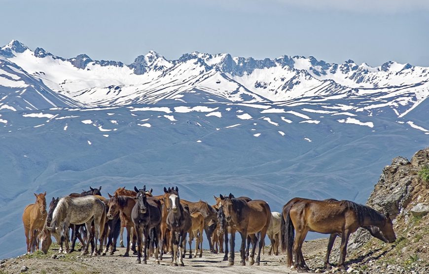 Dviejų pėrejų žygis žirgais Kirgizijoje, Tian Šanio kalnuose