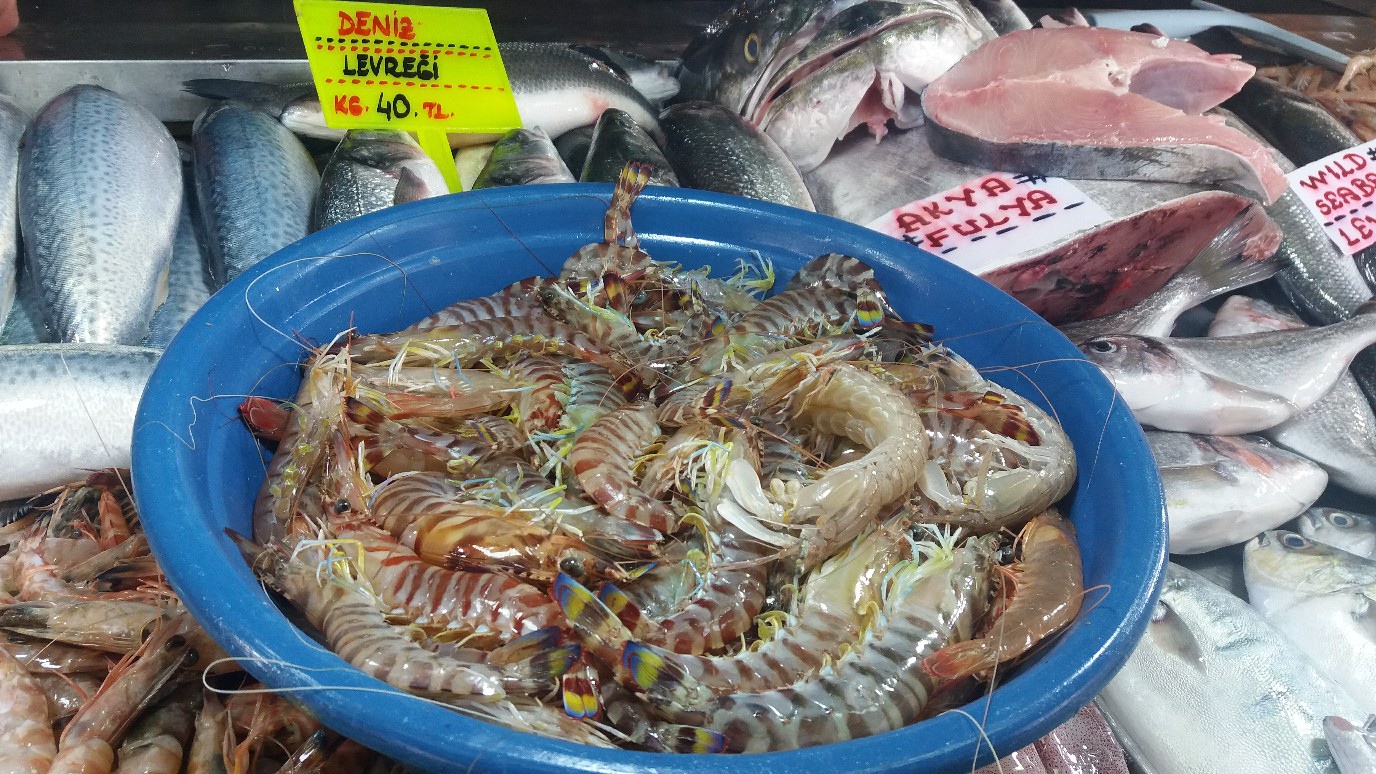 1 diena. Atvykimas į Fetiją ir susitikimas su grupe.