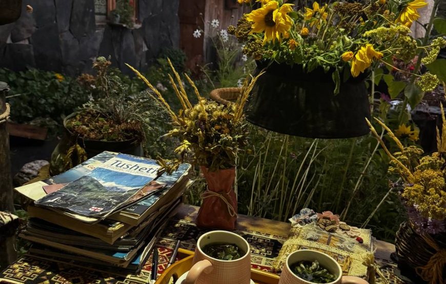 Įspūdinga turas malūnsparniu į Tušetiją