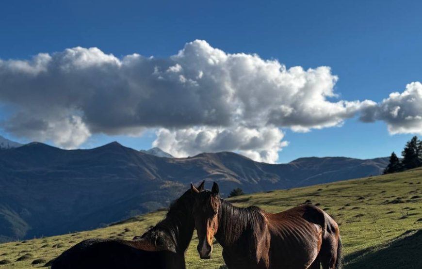 Įspūdinga turas malūnsparniu į Tušetiją
