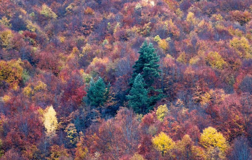 Įspūdinga turas malūnsparniu į Tušetiją