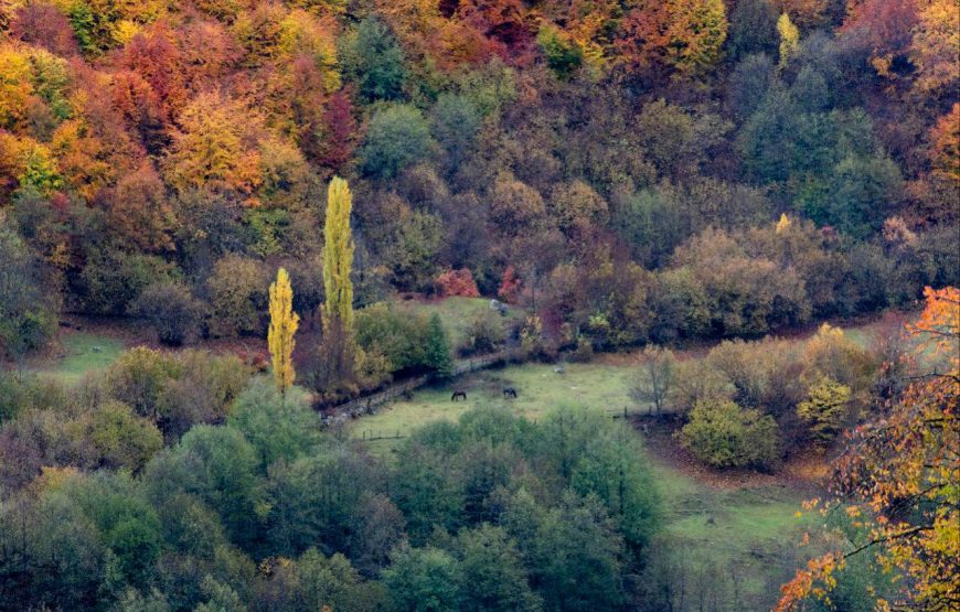 Įspūdinga turas malūnsparniu į Tušetiją