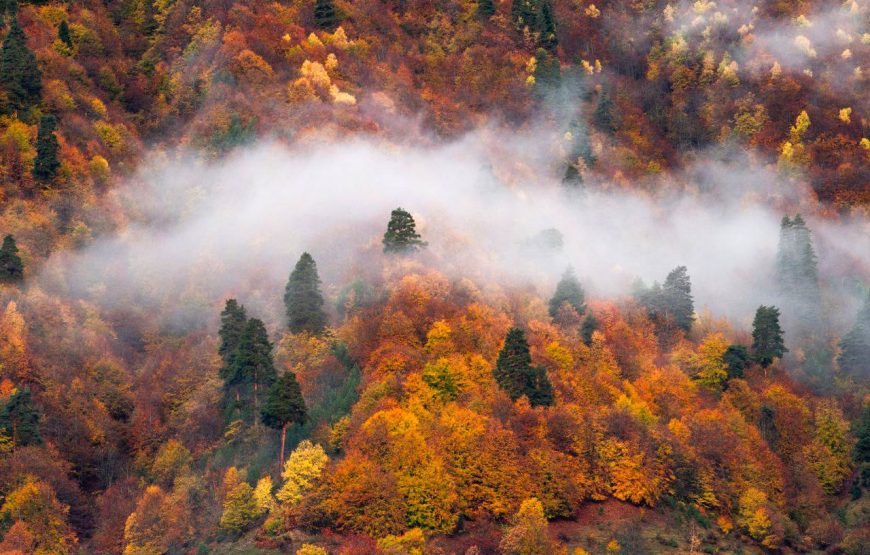 Įspūdinga turas malūnsparniu į Tušetiją