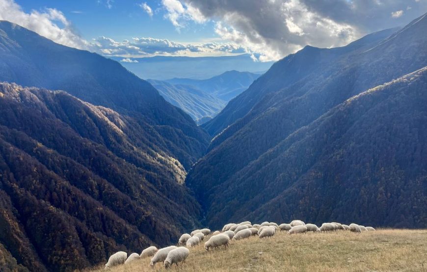 Įspūdinga turas malūnsparniu į Tušetiją