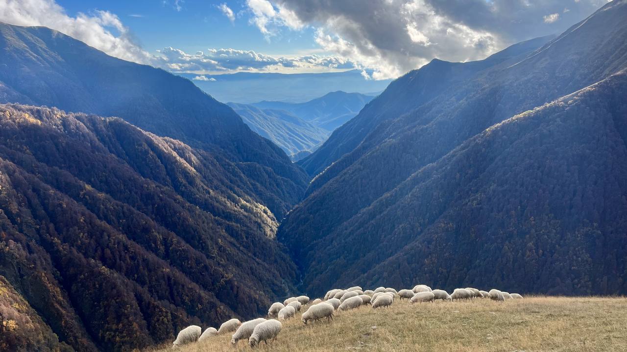 1 diena. Atvykimas į Gruziją. Tušetiją