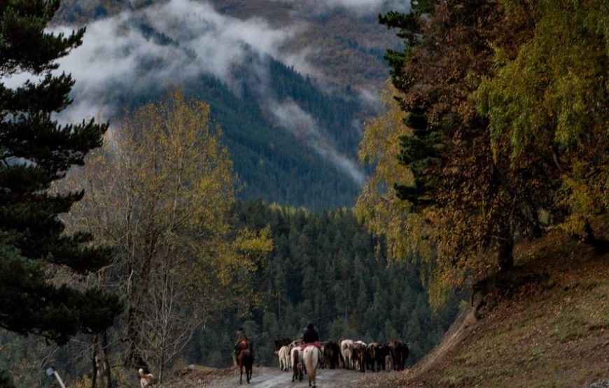 Įspūdinga turas malūnsparniu į Tušetiją