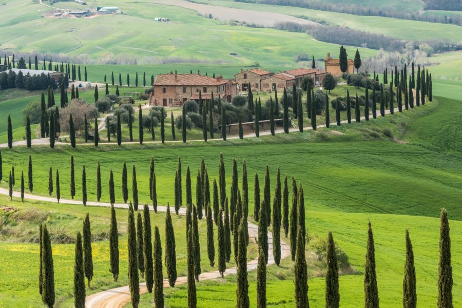Sporto, gamtos, kalnų, jūros, gero oro, maisto ir vyno gurmanų dviračių turas  Toskanoje