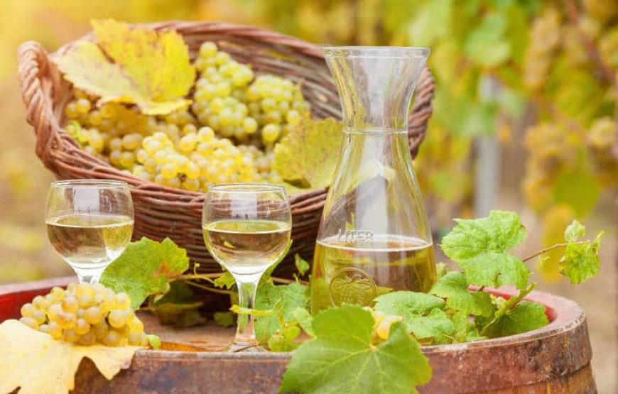 Sporto, gamtos, kalnų, jūros, gero oro, maisto ir vyno gurmanų dviračių turas  Toskanoje